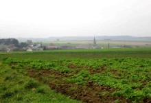New report – AEIAR goes around the land market regulation in Europe