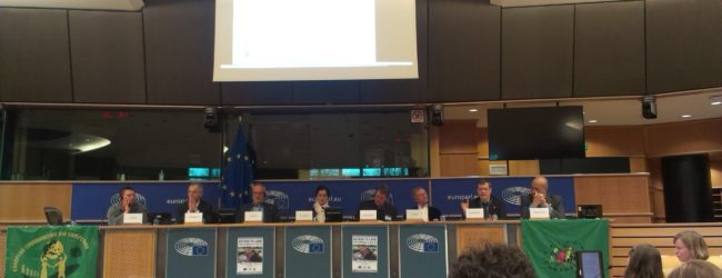 AEIAR at European Parliament