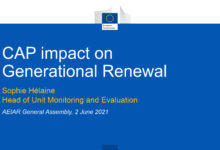 AEIAR General Assembly, 2021, June the 2nd