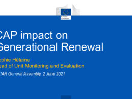 AEIAR General Assembly, 2021, June the 2nd