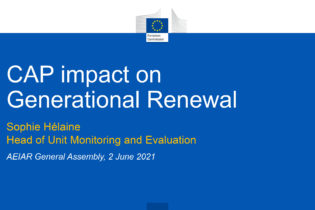 AEIAR General Assembly, 2021, June the 2nd